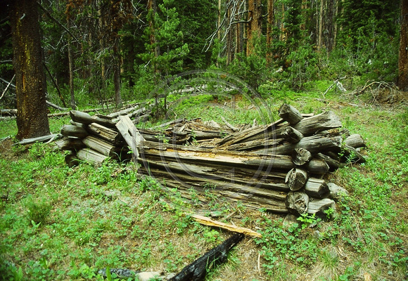 Ruins of an Old Cabin
