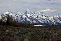 Teton Landscapes