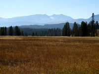 Mountain Meadows Splendor