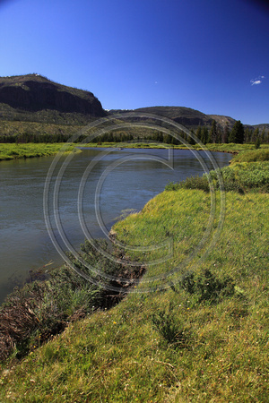 Along The Yellowstone River