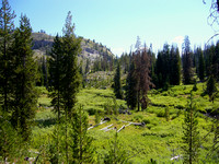 Wild Pacific Creek Country