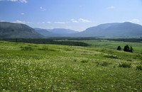 Yellowstone's thorofare