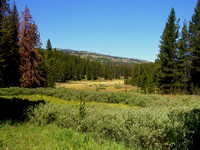 Wild Wyoming Country