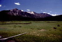 Before the 1988 Yellowstone Fires