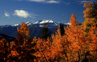 Fall in Jackson Hole