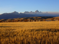 Fall and the Tetons