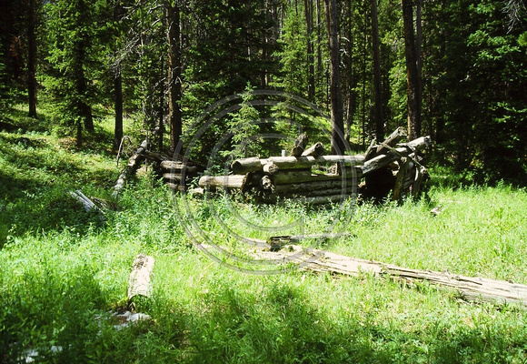 Ruins of an Old Cabin