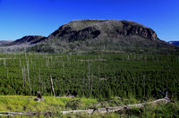 Looking Upon Hawks Rest