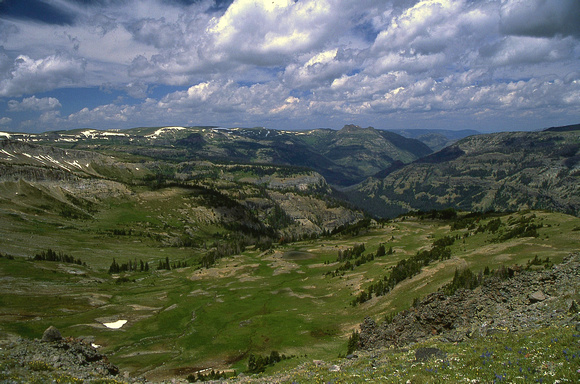 Looking Down the Yellowstone
