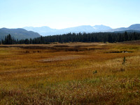 Mountain Meadows Splendor