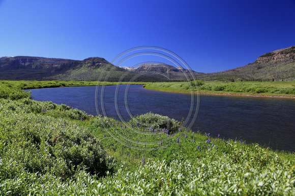 Along The Yellowstone River