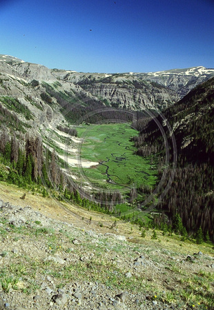 South Fork of the Yellowstone